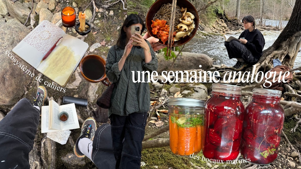 une semaine analogue: mon écosystème de journal, une randonnée, des marinades et de la lecture