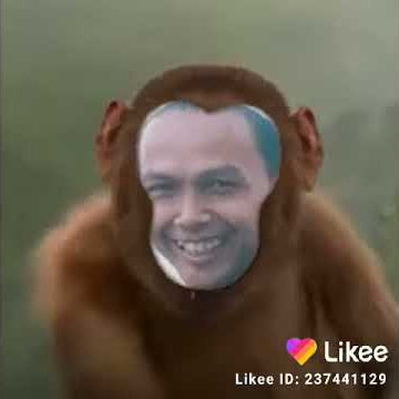  18proplayer amatir sex remaja bisa