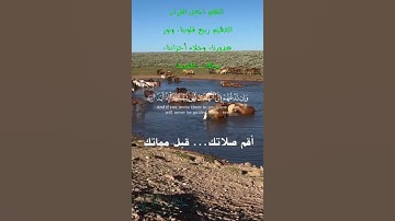 تلاوة خاشعة عطرة مباركة جميلة عذبة للشيخ فارس عباد ماتيسر من سورة الكهف