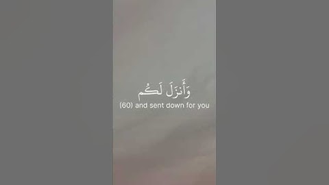 قرآن كريم #المصحف #فضيلة الشيخ (ياسر الدوسري)#اكسبلور