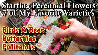 How to Seed Start 7 (Favorite) Perennial Flowers for Birds, Bees, Butterflies, Beneficials & Beauty