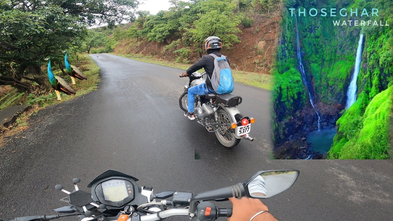 Itne sare PEACOCKS kaha se aa gaye 😱 | Thoseghar waterfall | near satara |