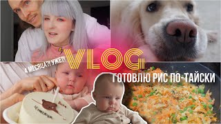 Сыночку 4 месяца, Рис с курицей ПО ТАЙСКИ 🤘🏻 Складная ванночка, Обновки на кухне ❤️