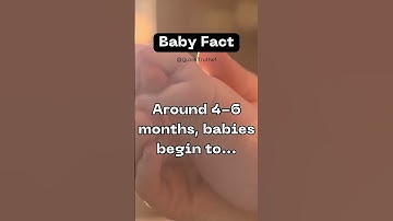 Developing Object Permanence #shorts #babyfacts