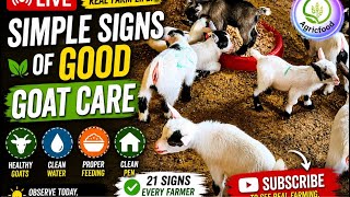 🌿🐐 Simple Signs of Good Goat Care