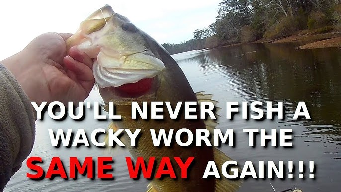 The Most OVERLOOKED & BEST Spring Bass Lure Ever? (The Floating Worm)  Spring Bass Fishing Tips 