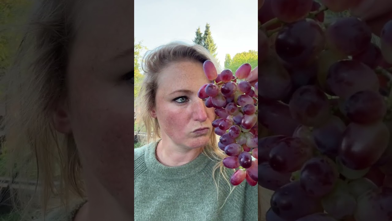 GRAPEFACE 