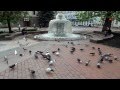 Кормление голубей. Кировоград, плошадь Кирова. Feeding the pigeons. Kirovograd, Kirov Square.