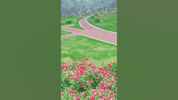 Ye Haseen Wadiyaan at Lotus Temple 🪷 | Nature, Peace & Pyaar | Sonam Swami