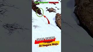 Aktivitas orang tinggal di gunung salju #shortvideo #shortsfeed