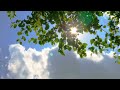الحكمة الخامسة من الحكم العطائية بشرح العلامة الشرنوبي المالكي رحمه الله mp3