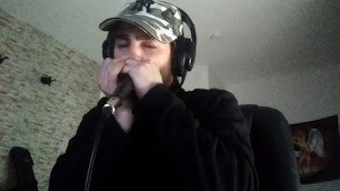 Led Zeppelin - When The Levee Breaks (intro) - harmonica cover