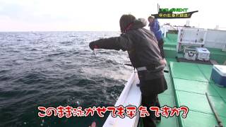 #030 冬の玄海大調査