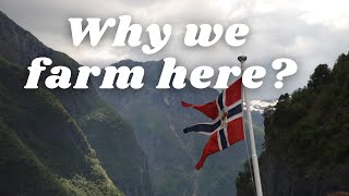 WHY WE BOUGHT THIS REMOTE FARM IN NORWAY | our story