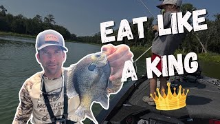 BLUEGILL Bed Fishing with the FAMILY!! by Real Life Lucas Black 8,164 views 11 months ago 14 minutes, 6 seconds