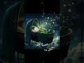 مهدينا نولد صيحوا يامدد