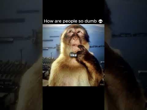 @jacobnach on YouTube | how dumb people are #shorts #jacobnach
