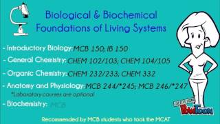 How MCB can prepare you for the MCAT