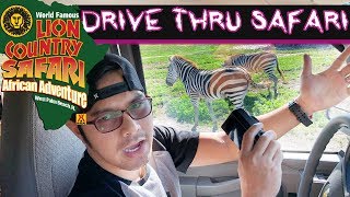 LION COUNTRY SAFARI West Palm Beach Florida | Cheat Codes -Feels Great || Chris Paitan