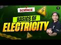 Science | Build Strong Fundamentals in Electricity 🔬⚡