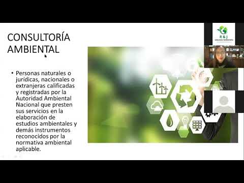 Plantilla De Descripción Del Puesto De Consultor De Formación