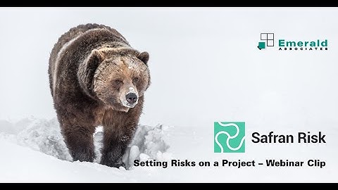 Safran Risk Webinar Clip - Setting Risks on a Project