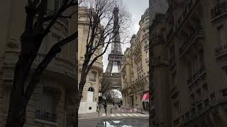 Paris I France 🇫🇷 I Part 2 #france #comingsoon #paris #daffodils #eiffeltower