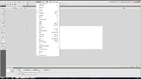 Adobe Fireworks CS5 - Utilizing Your Workspace - Tools, Panels, and Features