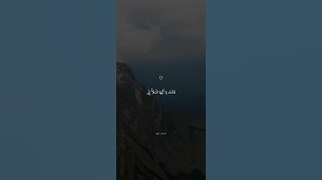 تلاوة خاشعة من سورة النمل بصوت #اسلام_صبحي ارح سمعك .