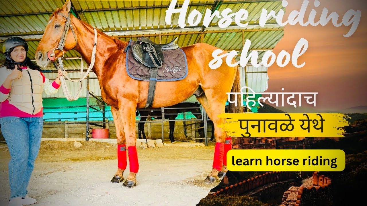 Horse 🐎 Riding school पहिल्यांच पूनावले (पुणे)येथे नक्की visit करा 🤠 /learn horse riding/pcmc