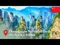 Pandora On Earth: Exclusive Access to China's Floating Mountains