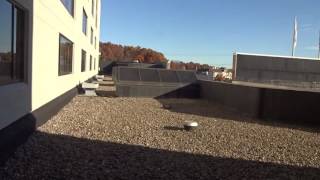 Otis Series 1 Hydraulic Elevators @ DoubleTree by Hilton, Windsor Locks, CT