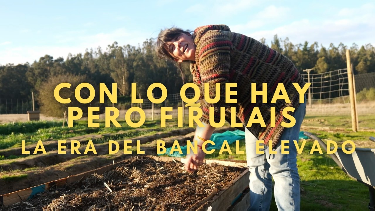 Así cultivamos 🍓 Frutillas | Comienza la era del huerto Firulais y un Budín de Pan #conloquehay