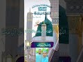 #assalamualaikum miladunnobi sallallahu alaihe wayasallam paigam aya ❤️🤲