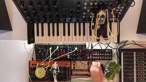 Experience 88 • Korg • MS-20 • SQ-1 • Volca Keys • Behringer • Model D • Crave