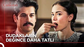 Ben Fondanı Değil Seni İstiyorum Çalıkuşu 8. Bölüm