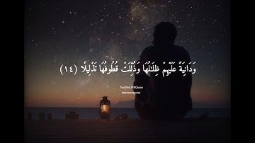 سورة الإنسان🎧سالم الرويلي✨