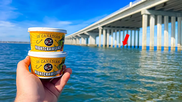 This SECRET Sheepshead Bait Catches LIMITS of FISH!!