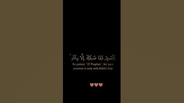 سورة النحل / القارئ الشيخ خالد الجليل / تلاوة خاشعة تريح سمعك