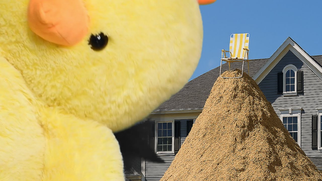 Duck News The Sand Theft