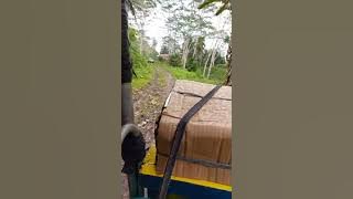 Going to Sitio Kupot, Barangay Banglasan, Montevista, Davao de Oro #skylab