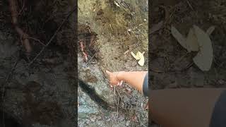 Penemuan mata air di lereng Gunung