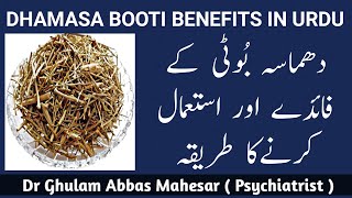 Dhamasa Booti Benefits in Urdu/Hindi - Dhamasa Booti Ke Fayde - Dr G Abbas