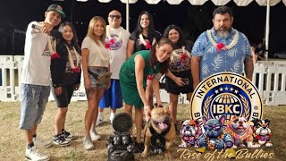 Rise of the Bullies Honolulu Hawaii Stack Off & IBKC Show HotShot Vlog
