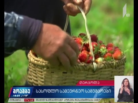 სასოფლო-სამეურნეო სამუშაოები რეგიონებში