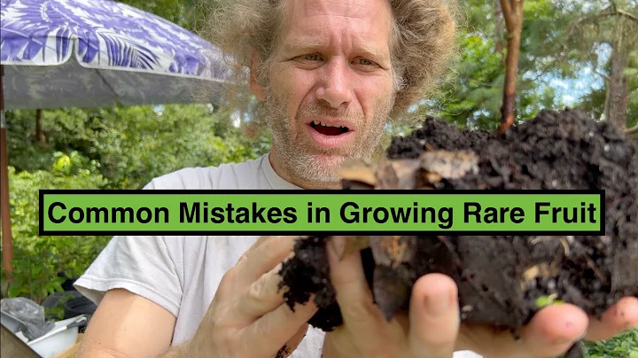 Common Mistakes in Growing Rare Fruit Trees