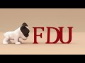 FDU Masters of Animation Concentrations