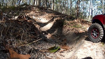 Axial SCX10 Honcho - Forest Trail