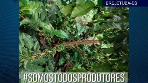 #SOMOSTODOSPRODUTORES - 21/12/2016