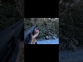 【狩猟】雪の森を索敵2 in the forest | FJCLUB